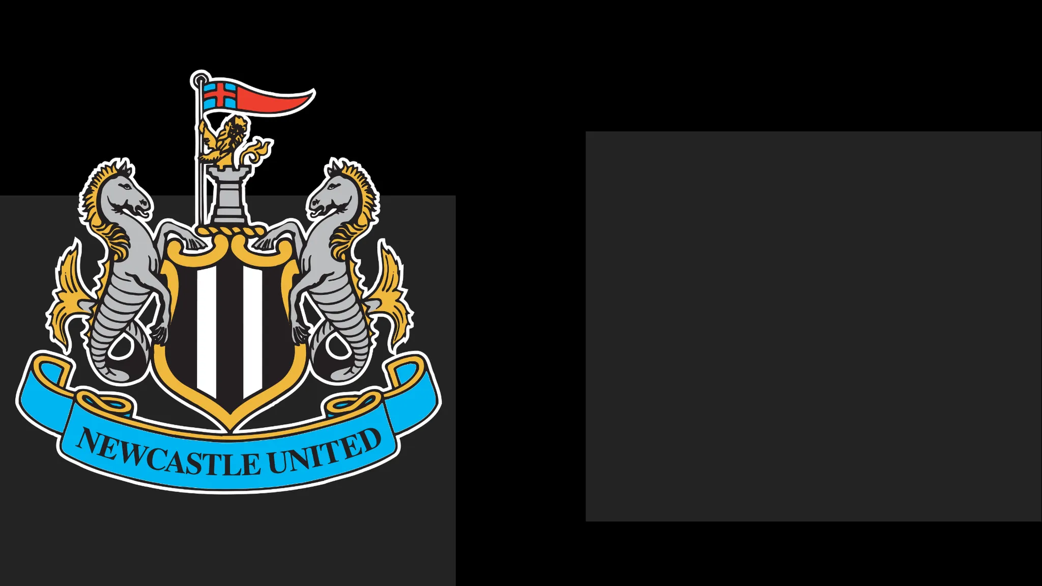 Newcastle's boss Commends Team's Spirit – But It Only Takes Them This Far