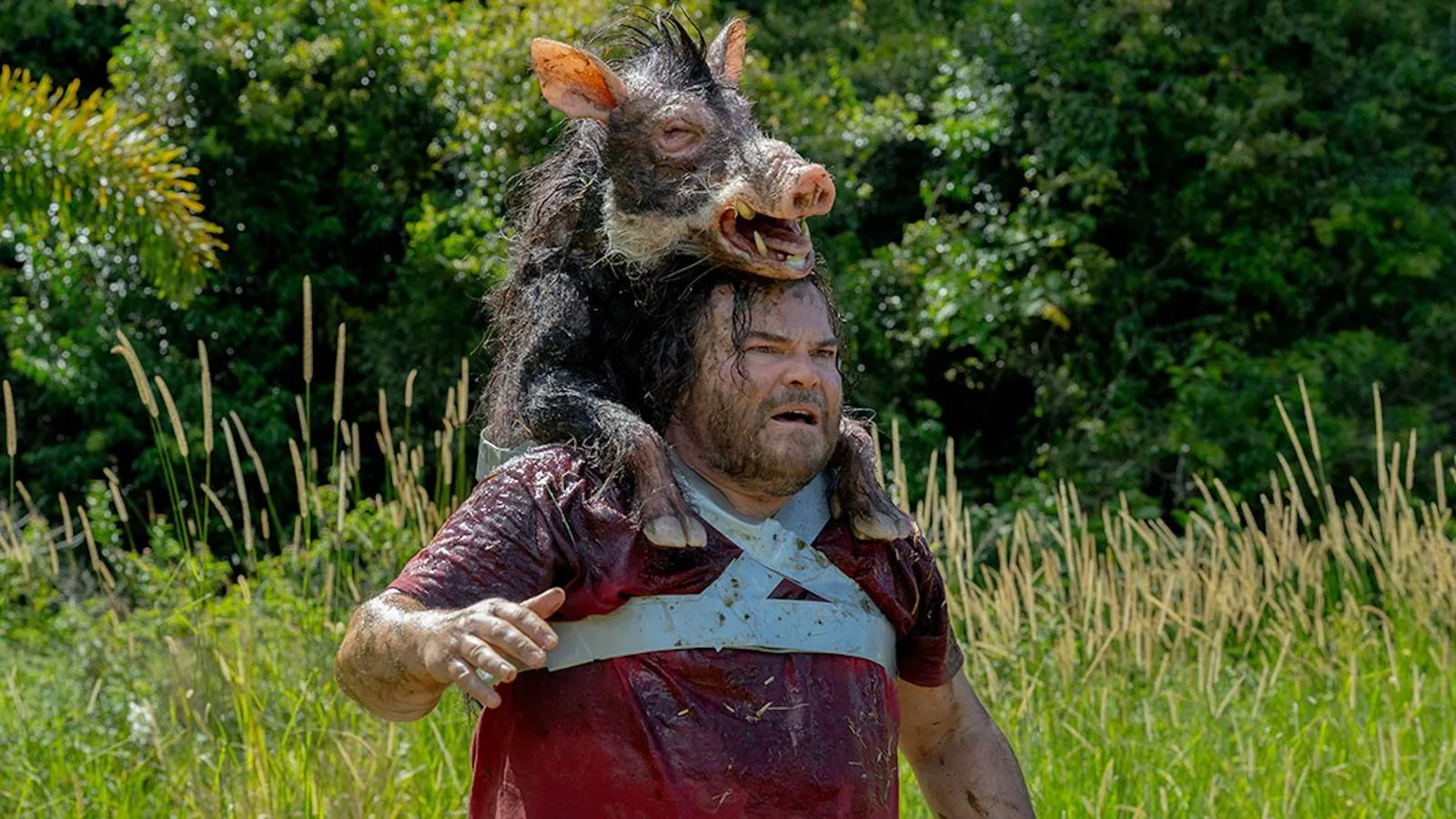 Sony's Anaconda Film Revival Is a Really Good Concept