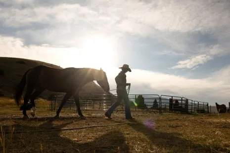Discover the American Cowgirls Transforming Contemporary Ranch Life