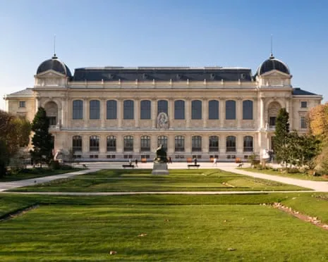 Invaluable Gold Specimens Stolen in Bold Raid at French Natural History Museum